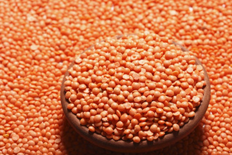 মসুর ডাল (ইন্ডিয়ান)